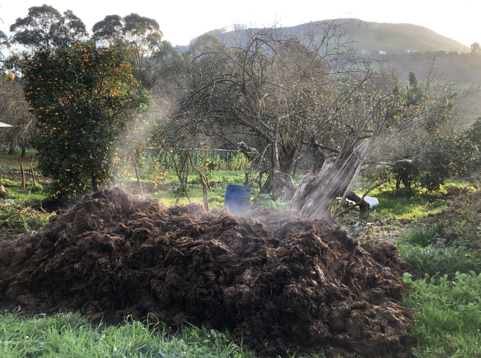 Pasted image 20260128223623.png